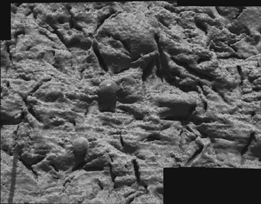 Oberfläche eines Felsens in Meridiani Planum