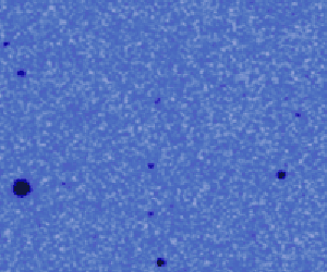 Asteroid 2012 DA14. Die Aufnahmen für diese Animation wurden in der Nacht der Entdeckung gemacht.