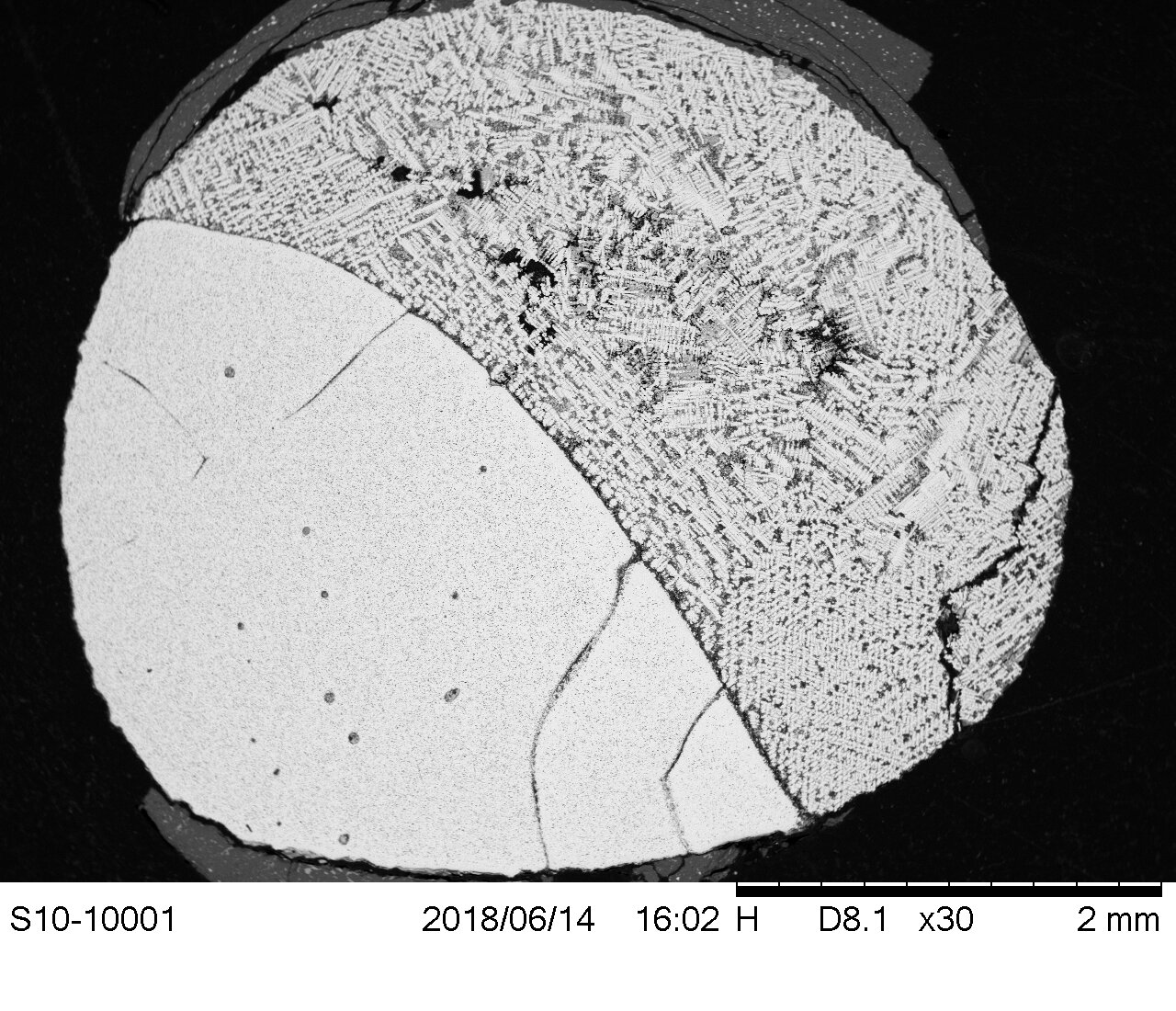 Ein rückgestreutes Elektronenbild welches das Ergebnis der Nachahmung des Kern-Kristallisationsprozesses zeigt. Rechts ist flüssiges Metall und links festes Metall zu sehen. Credit: Nancy Chabot and Peng Ni