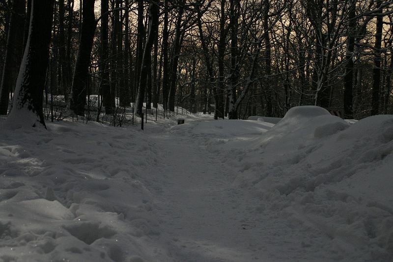 weg.jpg - Waldlandschaft in Vollmond heller Nacht. Nicht nur die Sterne verschwinden, auch die Schönheit der Nachtlandschaft geht verloren.Foto: Markus Reithofer