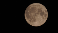 Aschegefärbter Vollmond über Wien, am 11. Juni 2025 um 0h31 MESZ. Bild: Norbert Fiala