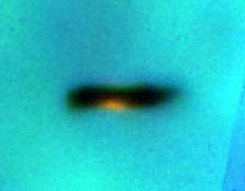 Gas- und Staubscheibe im Orion-Nebel 
