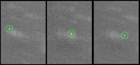 S/2002 N1, ist einer der drei neuentdeckten Neptun-Monde