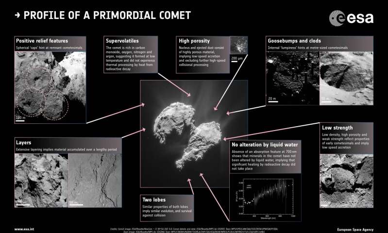 Profil eines Ur-Kometen.