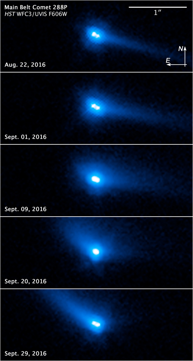 Diese Bilder, aufgenommen mit dem Weltraumteleskop Hubble, zeigen deutlich, dass 288P ein Doppelasteroid ist der kometenähnliche Eigenschaften besitzt. Er hat einen hellen Halo und eine langen Staubschweif.