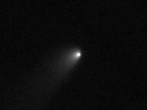 Komet 2019 LD2 (ATLAS). Credit: Hubble Space Telescope/Bryce Bolin.